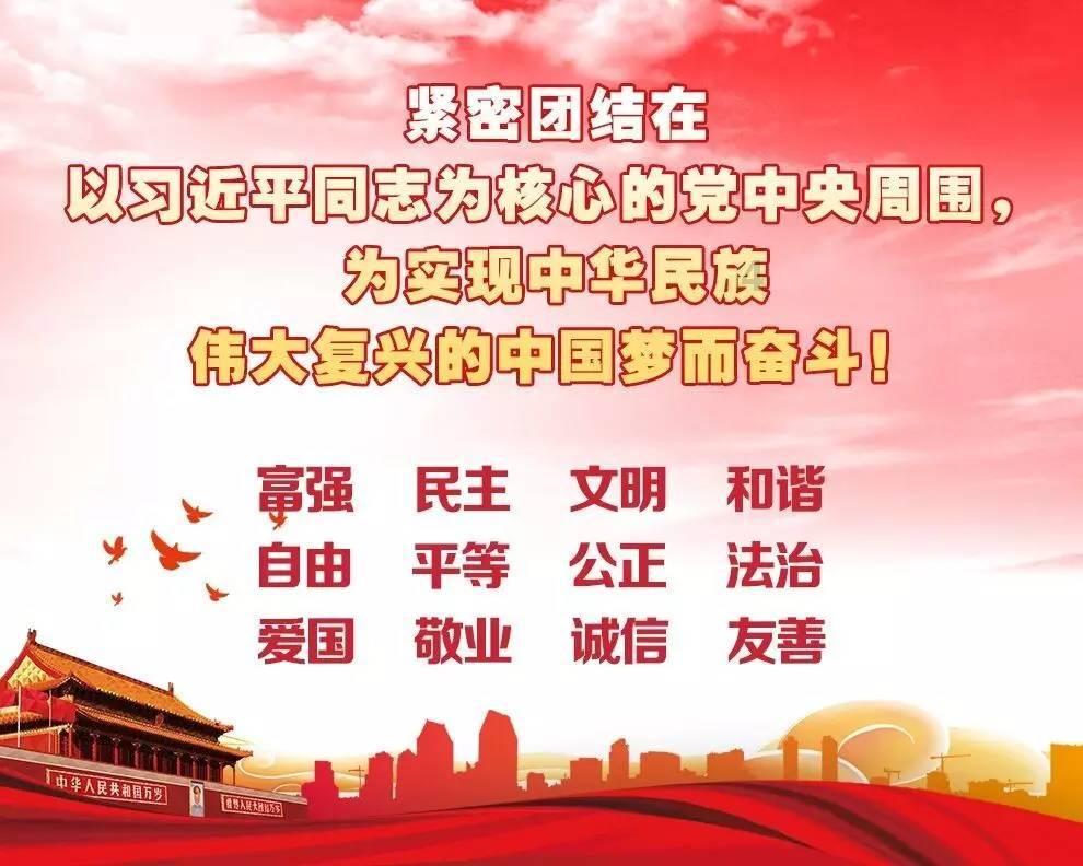拯救受伤的猫